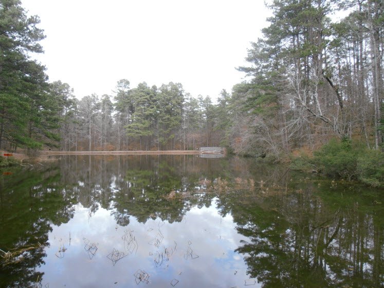 Logoly State Park, Arkansas, USA